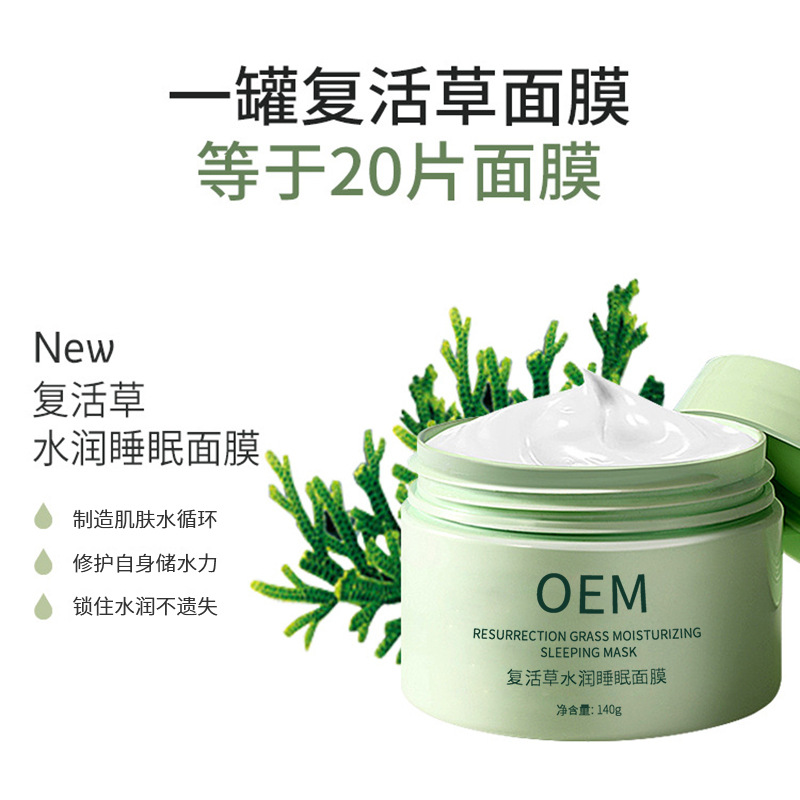 宝丽_复活草睡眠面膜OEM